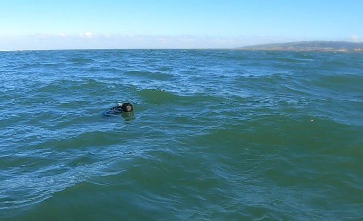 Advanced Water Rescue Toddler