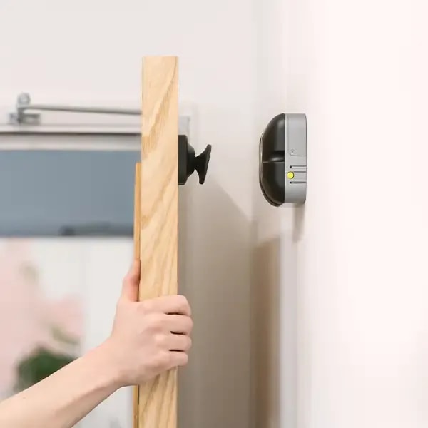 DorMag Pro
