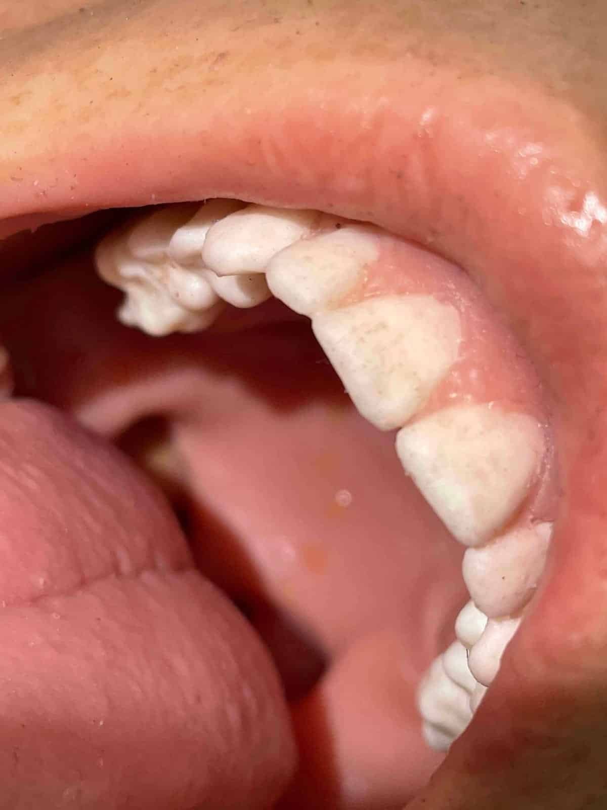 Advanced Water Rescue Manikin