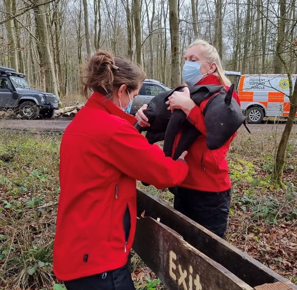 Dog / Canine Training Manikin