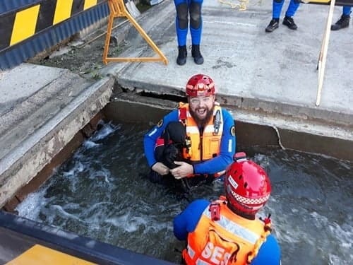 Dog / Canine Training Manikin