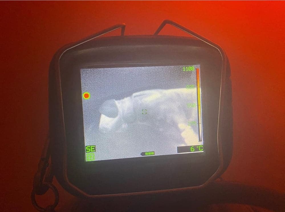 Dog / Canine Training Manikin