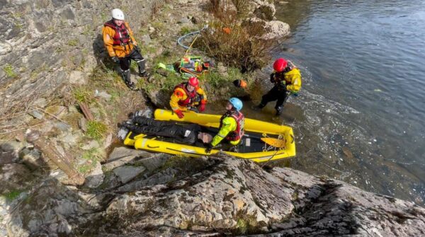 Advanced Water Rescue Manikin - Image 30