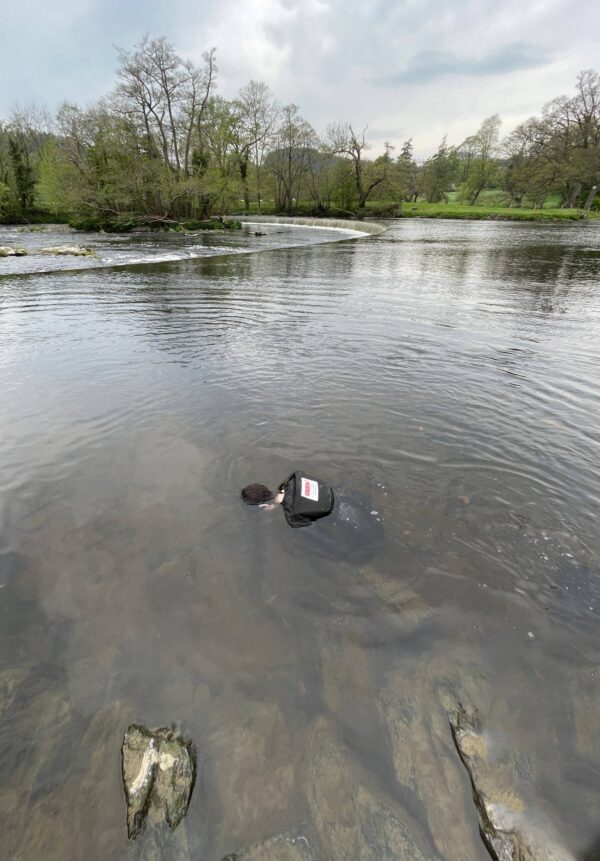 Advanced Water Rescue Toddler - Image 3