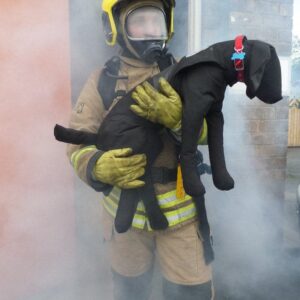 Dog / Canine Training Manikin